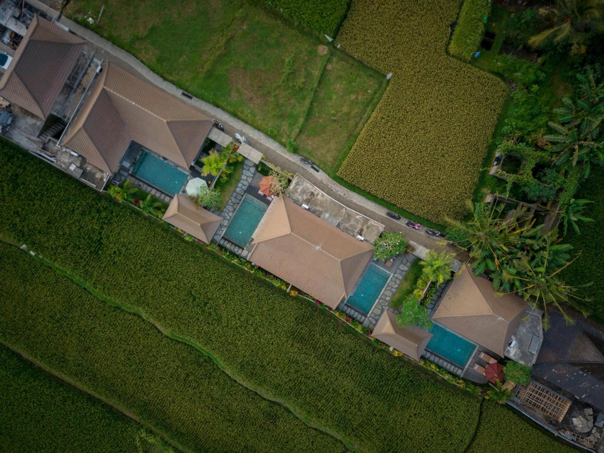 Happy Honeymoon Private Villa Убуд Екстер'єр фото